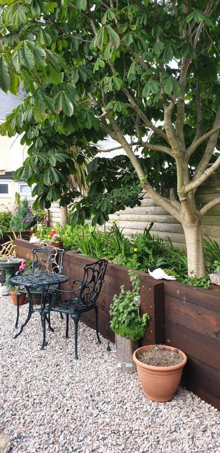 Pensalda Guest House New Quay Exterior foto